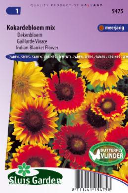 Kokarda osinatá, Gaillardia aristata zmes 0,4 g cca 135 semien